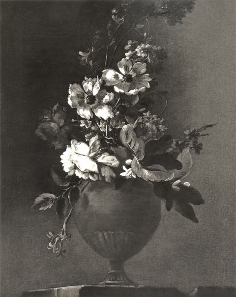 Anonimo — Belvedere Andrea - sec. XVII/ XVIII - Natura morta con vaso di fiori — insieme